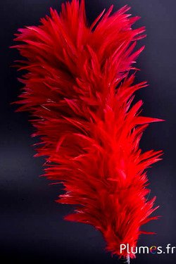 Plumet coq avec anneau -  hauteur 40 cm - rouge-carmin